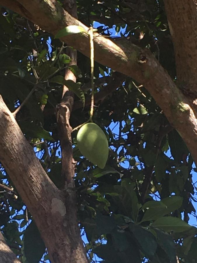 Samui Garden Resort Bang Rak Beach  Zewnętrze zdjęcie