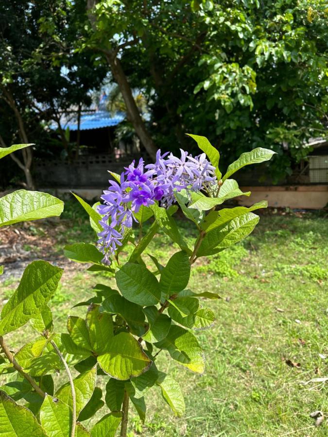 Samui Garden Resort Bang Rak Beach  Zewnętrze zdjęcie