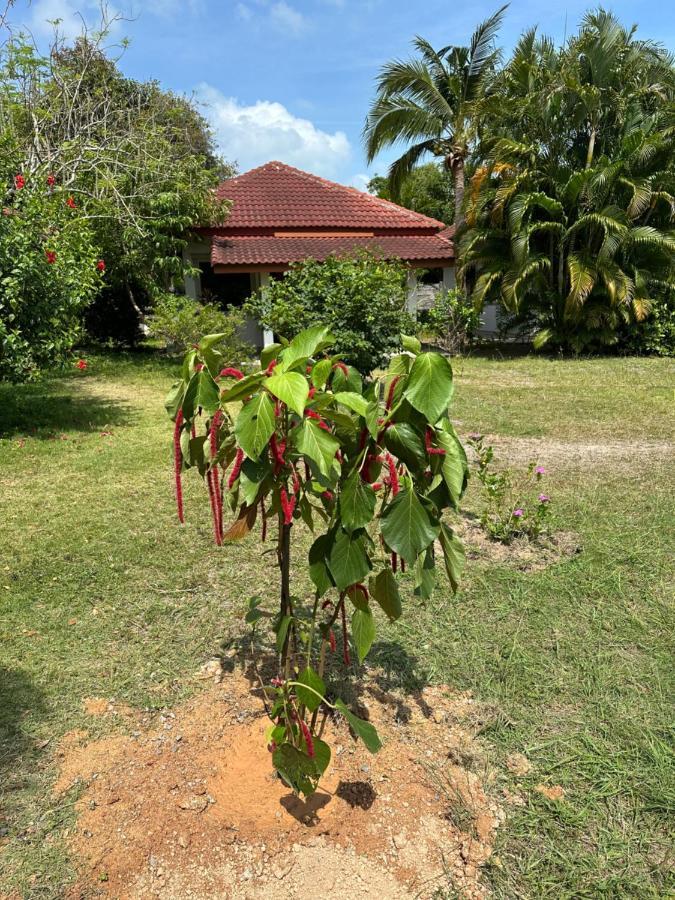 Samui Garden Resort Bang Rak Beach  Zewnętrze zdjęcie