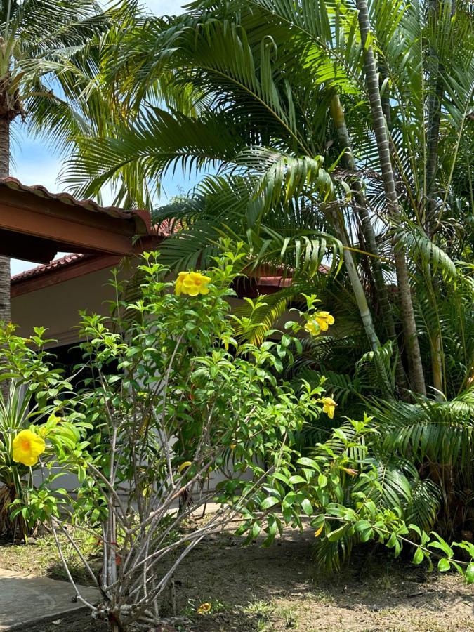 Samui Garden Resort Bang Rak Beach  Zewnętrze zdjęcie
