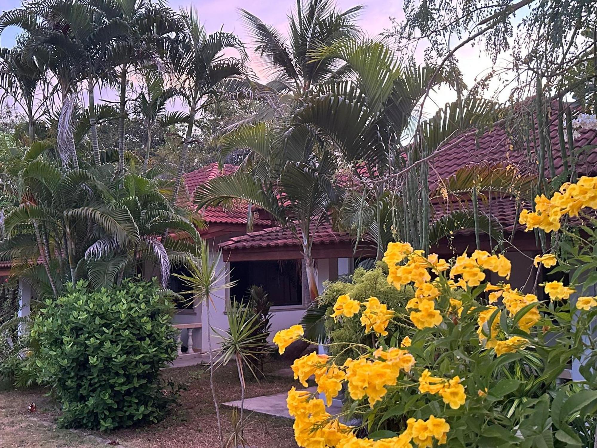 Samui Garden Resort Bang Rak Beach  Zewnętrze zdjęcie