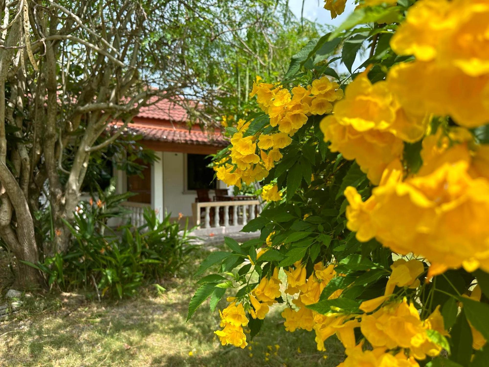 Samui Garden Resort Bang Rak Beach  Zewnętrze zdjęcie