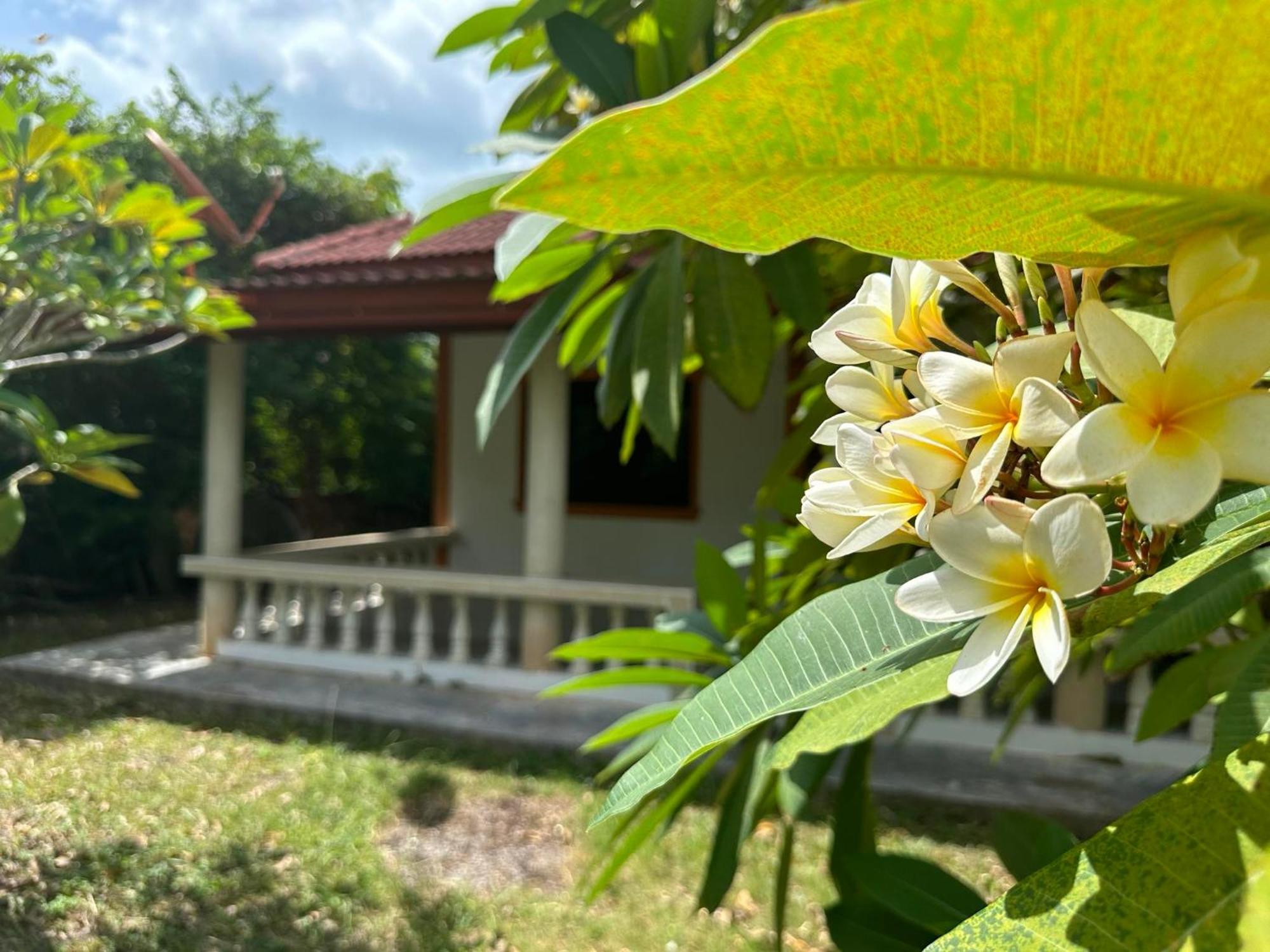 Samui Garden Resort Bang Rak Beach  Zewnętrze zdjęcie