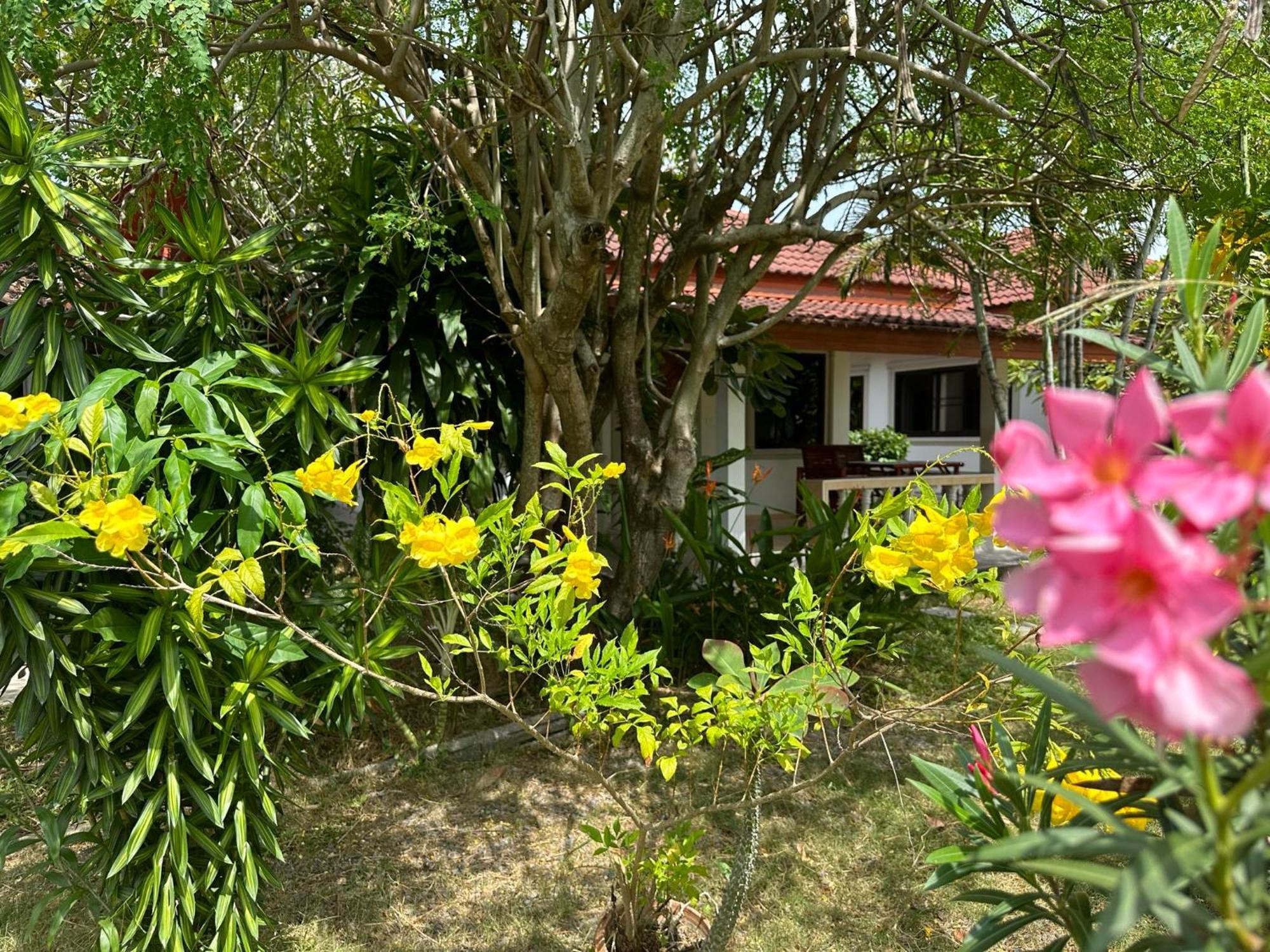 Samui Garden Resort Bang Rak Beach  Zewnętrze zdjęcie