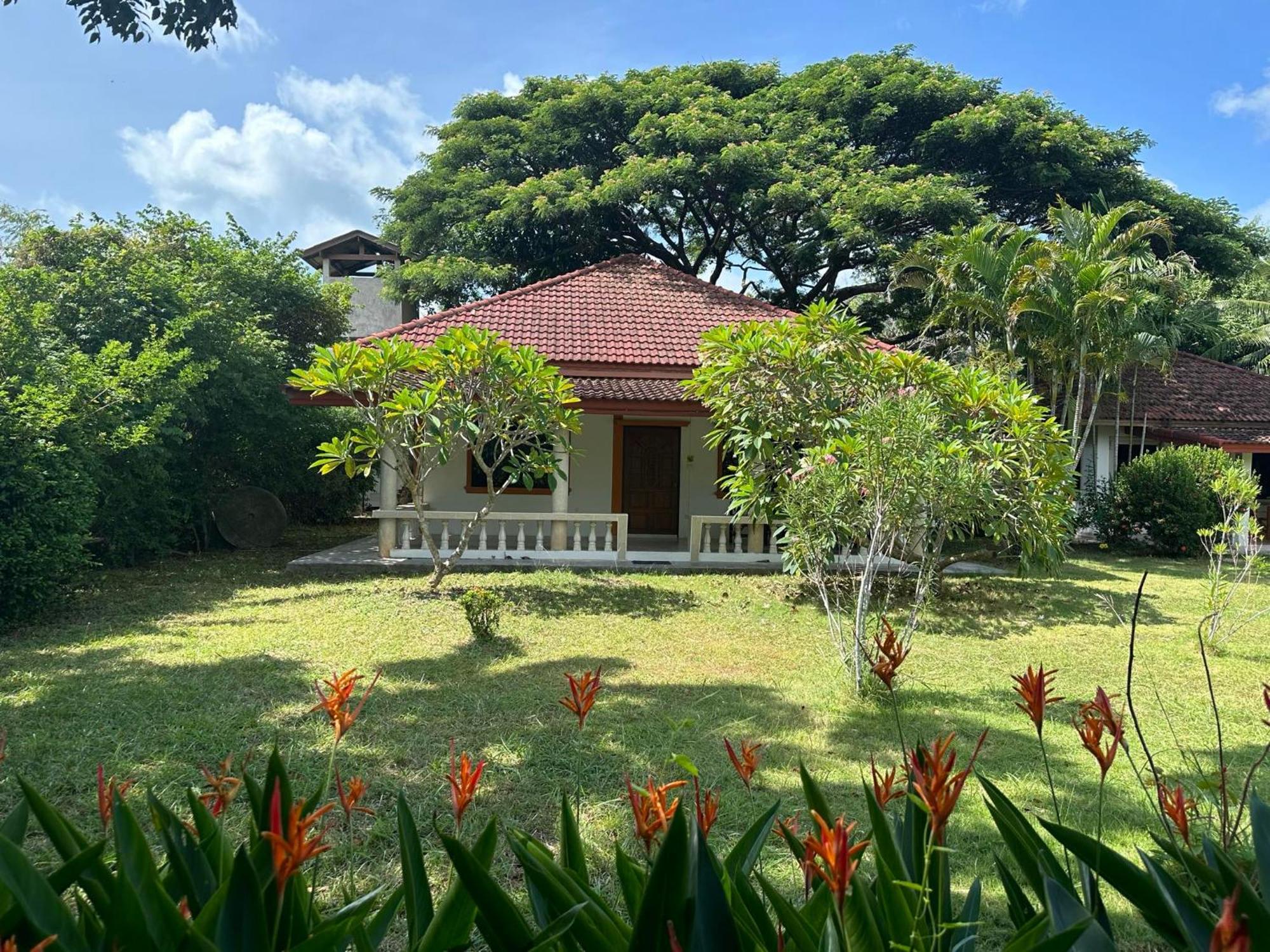 Samui Garden Resort Bang Rak Beach  Zewnętrze zdjęcie